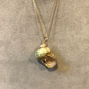 Gold Shell Pendant Necklace